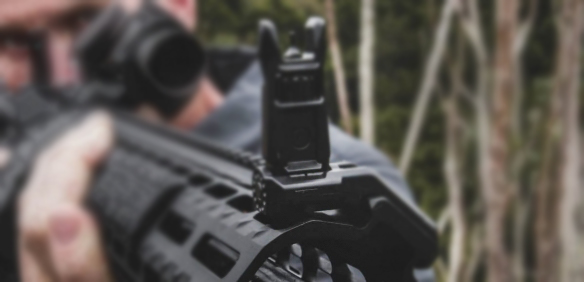 magpul-iron-sights-from-brd.jpg