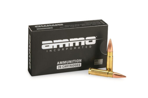 Ammo Inc Signature 300B150FMJ-A20 .300 Blackout 150Gr FMJ Ammunition - 20 round box - Black Rifle Depot