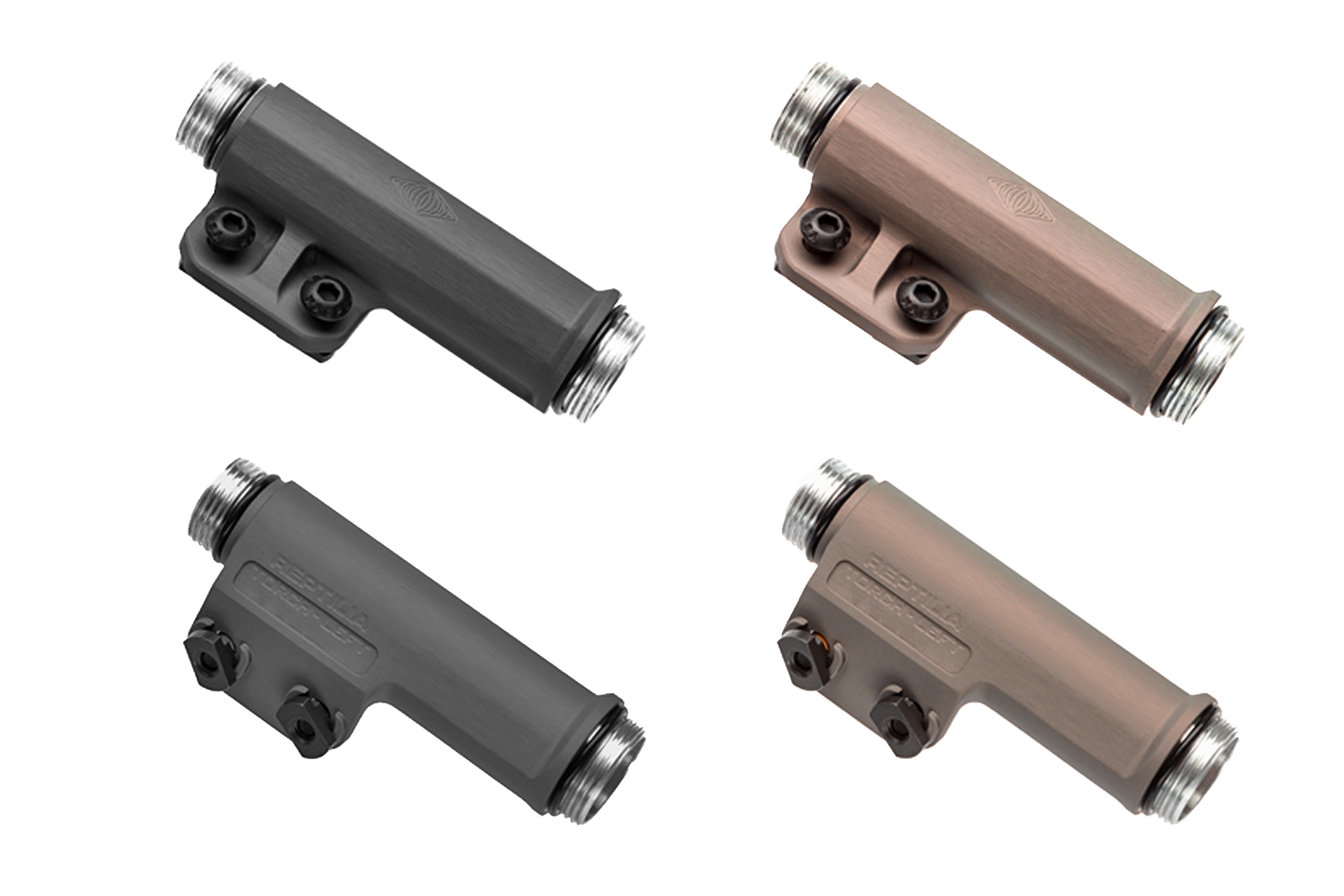 reptilia6vcomposition