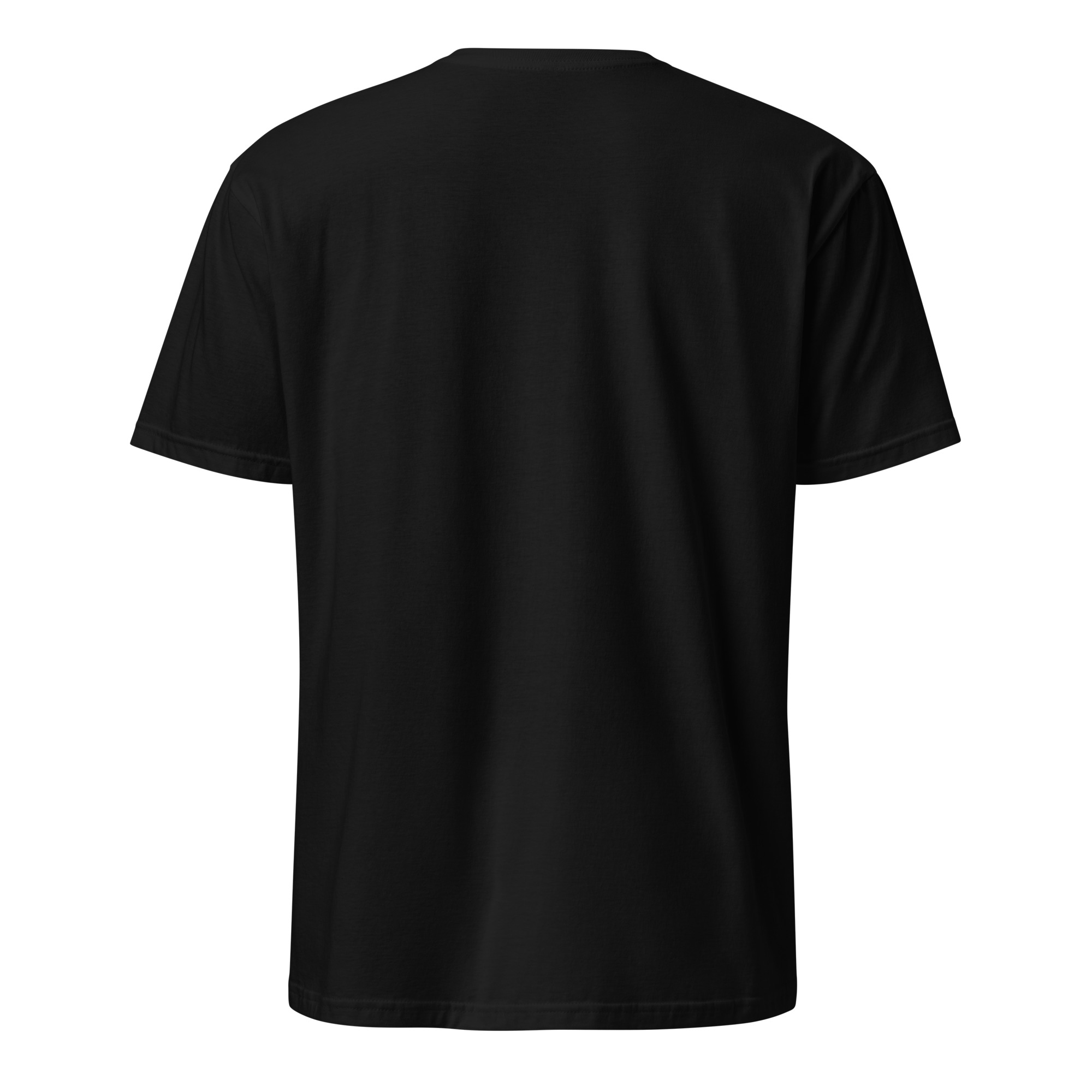 unisex-basic-softstyle-t-shirt-black-back-693217ba8bb20.jpg
