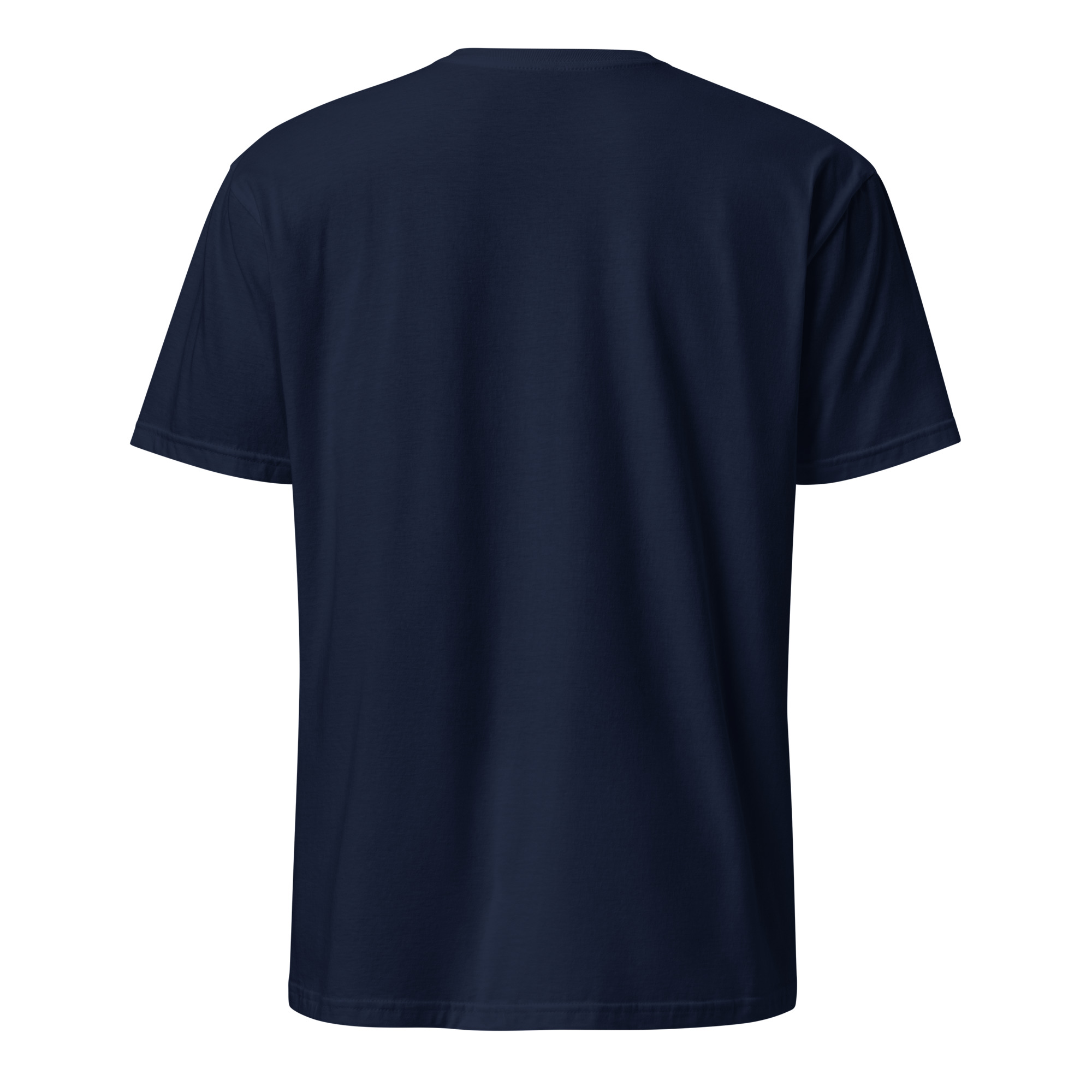 unisex-basic-softstyle-t-shirt-navy-back-693217ba8f0da.jpg