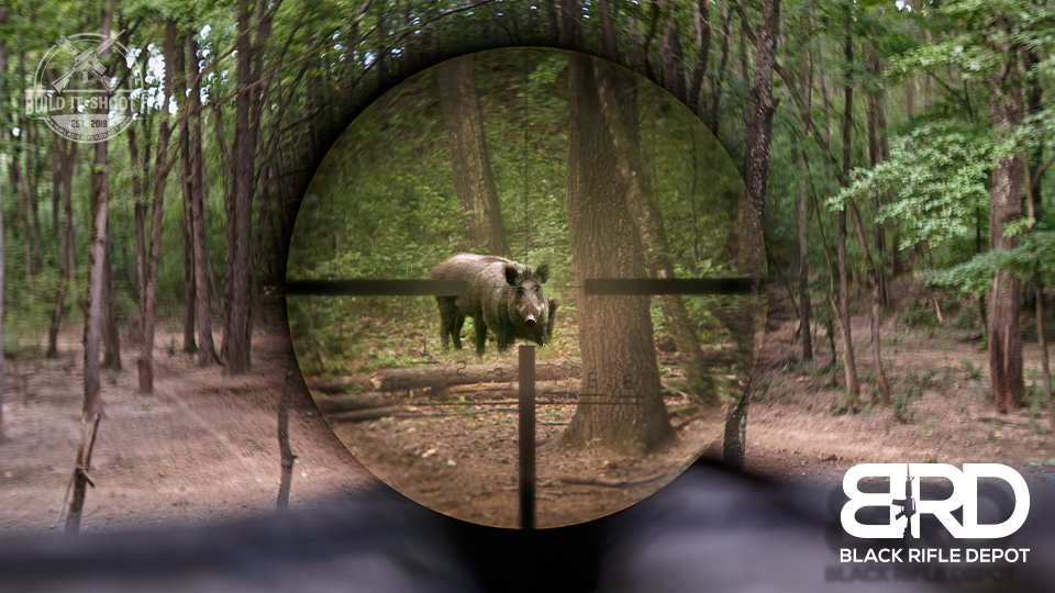 How to Choose the Right AR-15 Scope for Your Shooting Needs