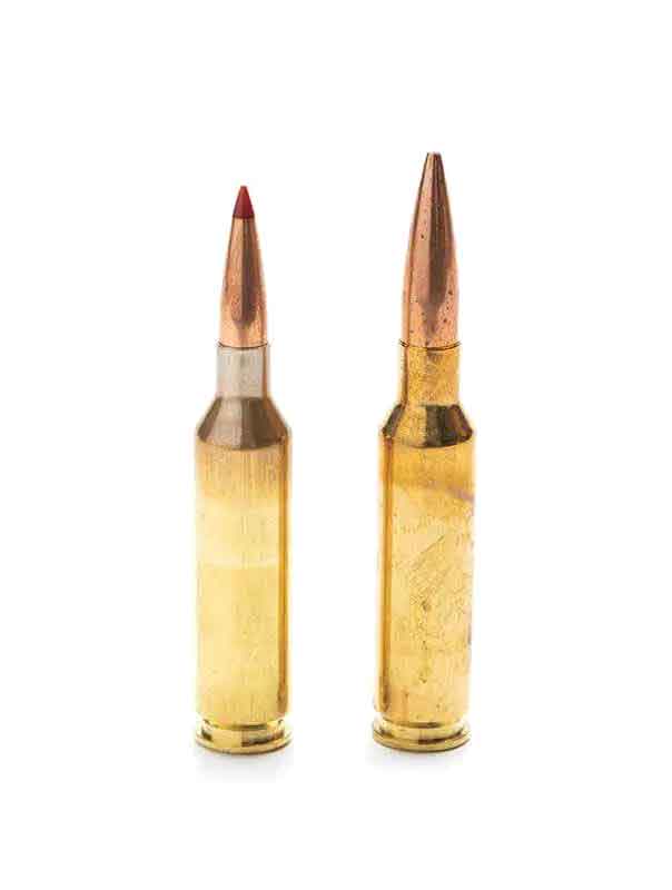 AR-15 Caliber
